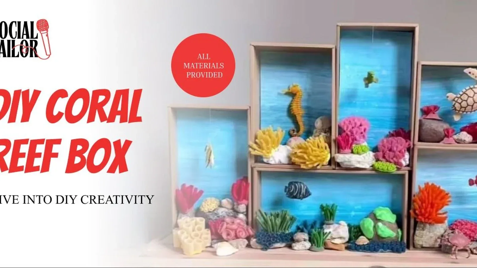 DIY Coral Reef - Delhi NCR