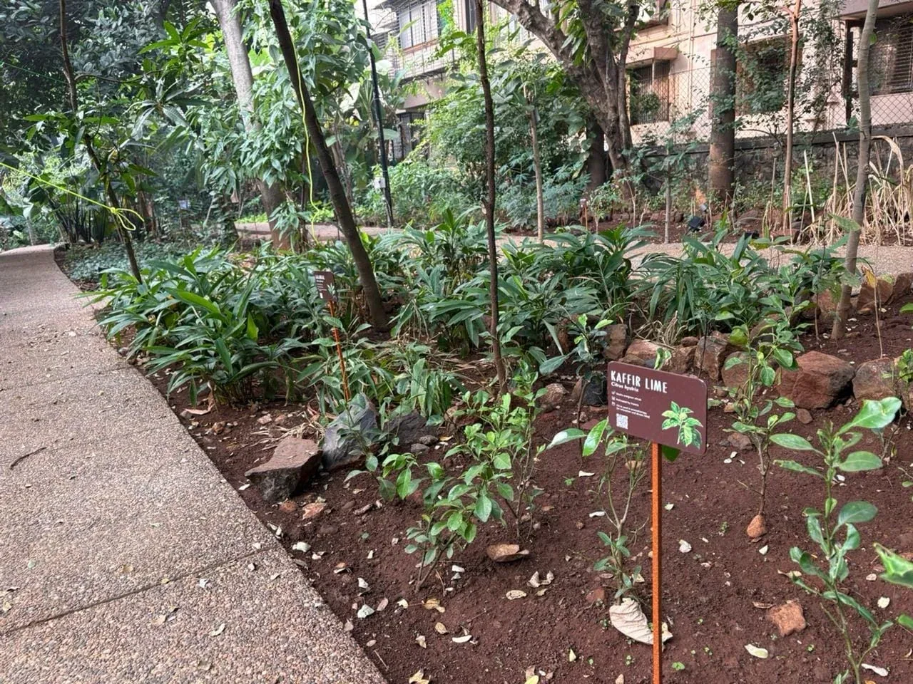 The Nest, Malabar Hill
