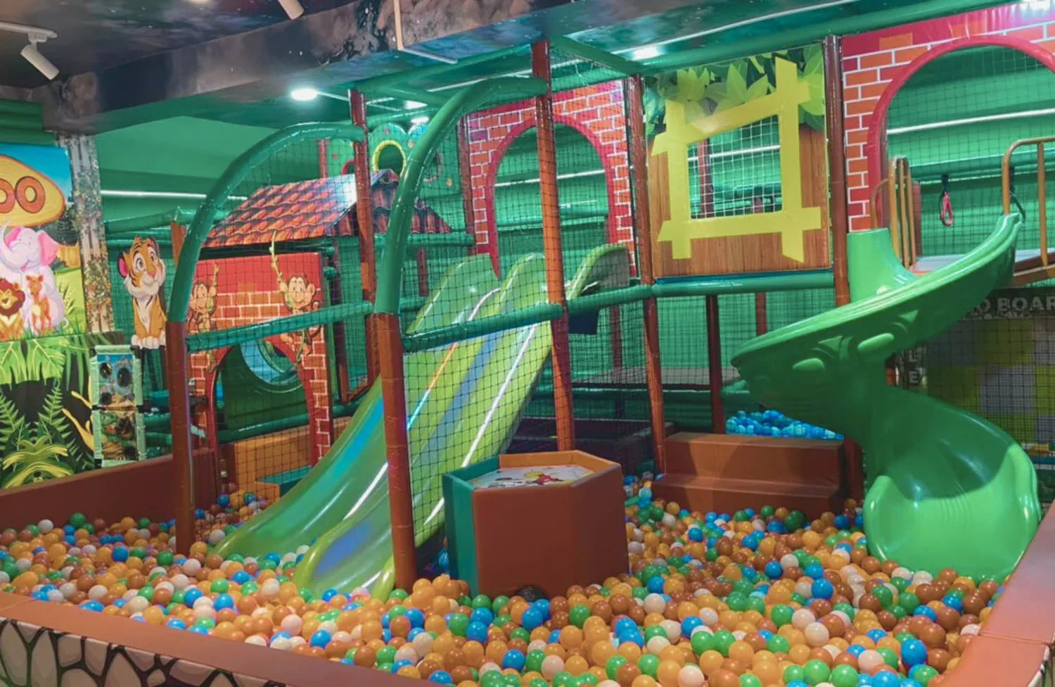 Wild Wonders Kids Play Area
