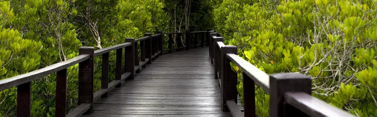 Godrej Vikhroli Mangroves